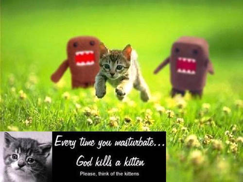 Everytime you masturbate, God kills a kitten.