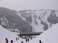 201.jpg